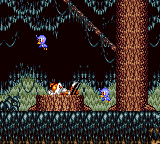 Tails Adventure screenshot 5 for Sega Game Gear